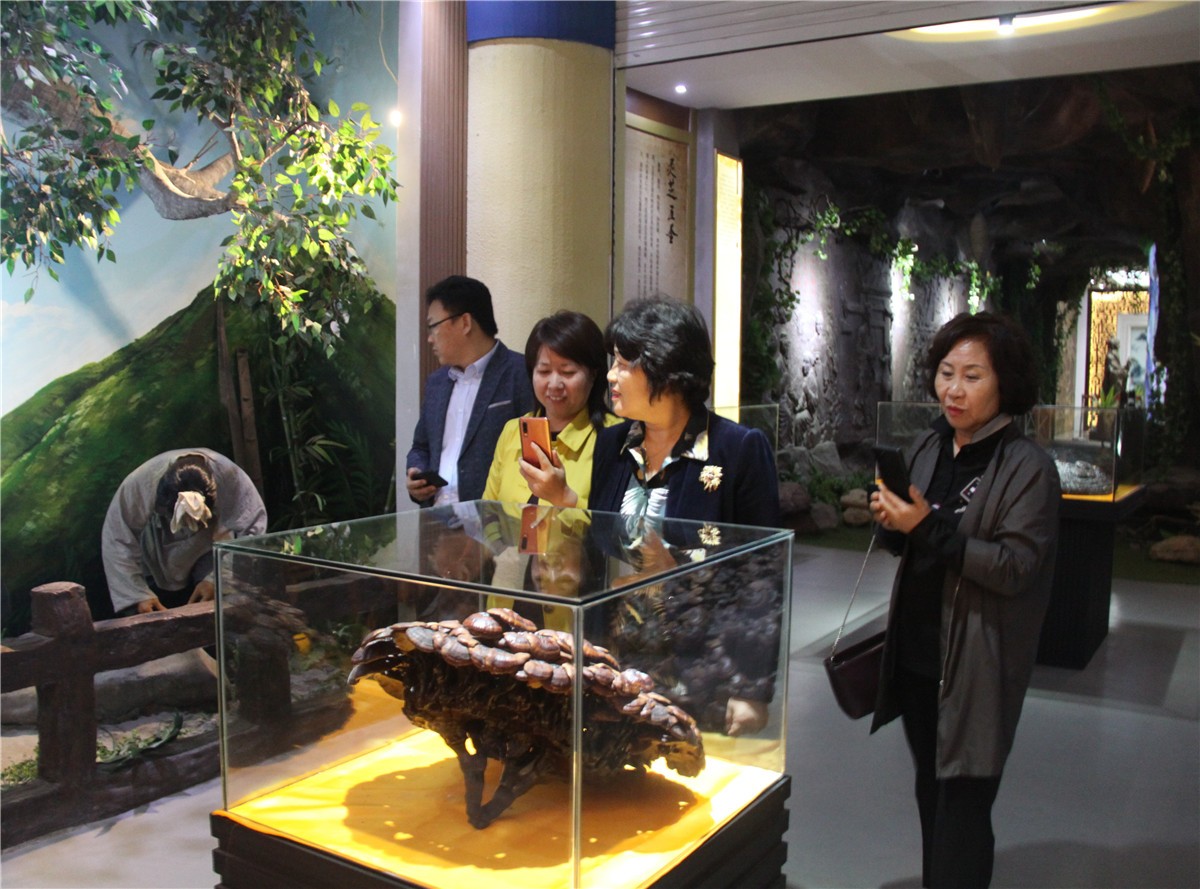 中國(guó)靈芝十大品牌|仙客來(lái)靈芝|仙客來(lái)靈芝破壁孢子粉|仙客來(lái)孢子油|仙客來(lái)靈芝飲片|仙客來(lái)破壁孢子粉|仙客來(lái)靈芝中藥飲片|馳名商標(biāo)|www.yuayua.cn| 中國(guó)靈芝十大品牌|仙客來(lái)靈芝|仙客來(lái)靈芝破壁孢子粉|仙客來(lái)孢子油|仙客來(lái)靈芝飲片|仙客來(lái)破壁孢子粉|仙客來(lái)靈芝中藥飲片|馳名商標(biāo)|www.yuayua.cn|