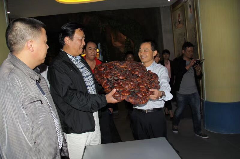 中國靈芝十大品牌|仙客來靈芝|仙客來靈芝破壁孢子粉|仙客來孢子油|仙客來靈芝飲片|仙客來破壁孢子粉|仙客來靈芝中藥飲片|馳名商標|www.yuayua.cn| 中國靈芝十大品牌|仙客來靈芝|仙客來靈芝破壁孢子粉|仙客來孢子油|仙客來靈芝飲片|仙客來破壁孢子粉|仙客來靈芝中藥飲片|馳名商標|www.yuayua.cn|