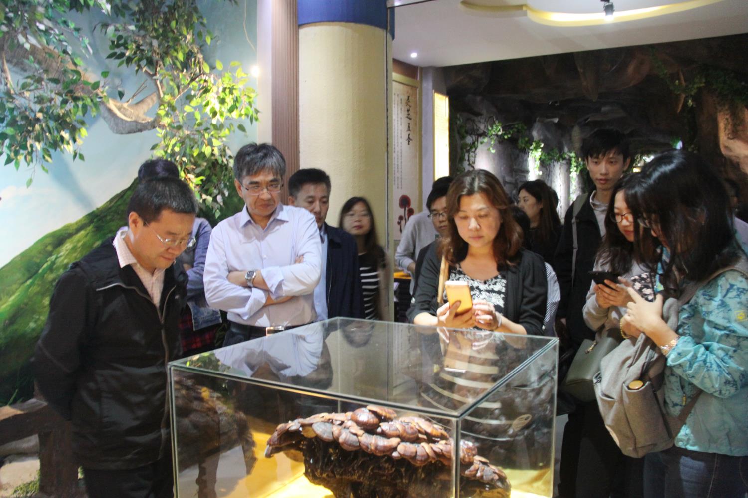 中國靈芝十大品牌|仙客來靈芝|仙客來靈芝破壁孢子粉|仙客來孢子油|仙客來靈芝飲片|仙客來破壁孢子粉|仙客來靈芝中藥飲片|馳名商標(biāo)|www.yuayua.cn| 中國靈芝十大品牌|仙客來靈芝|仙客來靈芝破壁孢子粉|仙客來孢子油|仙客來靈芝飲片|仙客來破壁孢子粉|仙客來靈芝中藥飲片|馳名商標(biāo)|www.yuayua.cn|