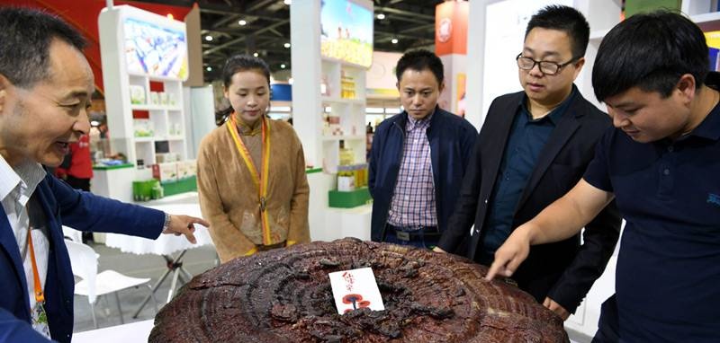 中國靈芝十大品牌|仙客來靈芝|仙客來靈芝破壁孢子粉|仙客來孢子油|仙客來靈芝飲片|仙客來破壁孢子粉|仙客來靈芝中藥飲片|馳名商標(biāo)|www.yuayua.cn| 中國靈芝十大品牌|仙客來靈芝|仙客來靈芝破壁孢子粉|仙客來孢子油|仙客來靈芝飲片|仙客來破壁孢子粉|仙客來靈芝中藥飲片|馳名商標(biāo)|www.yuayua.cn|