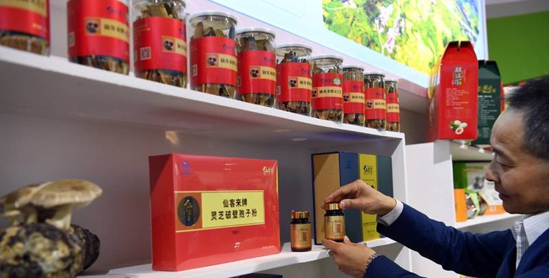 中國靈芝十大品牌|仙客來靈芝|仙客來靈芝破壁孢子粉|仙客來孢子油|仙客來靈芝飲片|仙客來破壁孢子粉|仙客來靈芝中藥飲片|馳名商標(biāo)|www.yuayua.cn| 中國靈芝十大品牌|仙客來靈芝|仙客來靈芝破壁孢子粉|仙客來孢子油|仙客來靈芝飲片|仙客來破壁孢子粉|仙客來靈芝中藥飲片|馳名商標(biāo)|www.yuayua.cn|