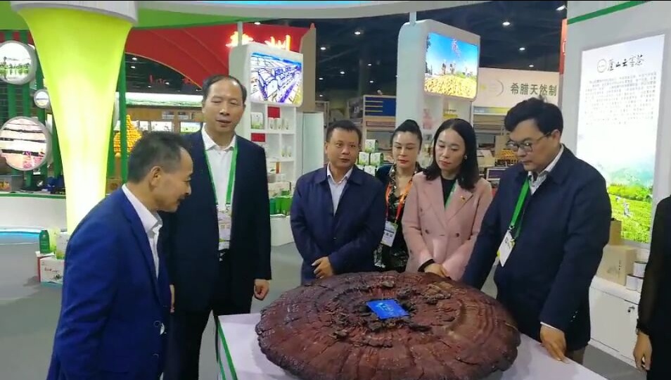 中國靈芝十大品牌|仙客來靈芝|仙客來靈芝破壁孢子粉|仙客來孢子油|仙客來靈芝飲片|仙客來破壁孢子粉|仙客來靈芝中藥飲片|馳名商標(biāo)|www.yuayua.cn| 中國靈芝十大品牌|仙客來靈芝|仙客來靈芝破壁孢子粉|仙客來孢子油|仙客來靈芝飲片|仙客來破壁孢子粉|仙客來靈芝中藥飲片|馳名商標(biāo)|www.yuayua.cn|