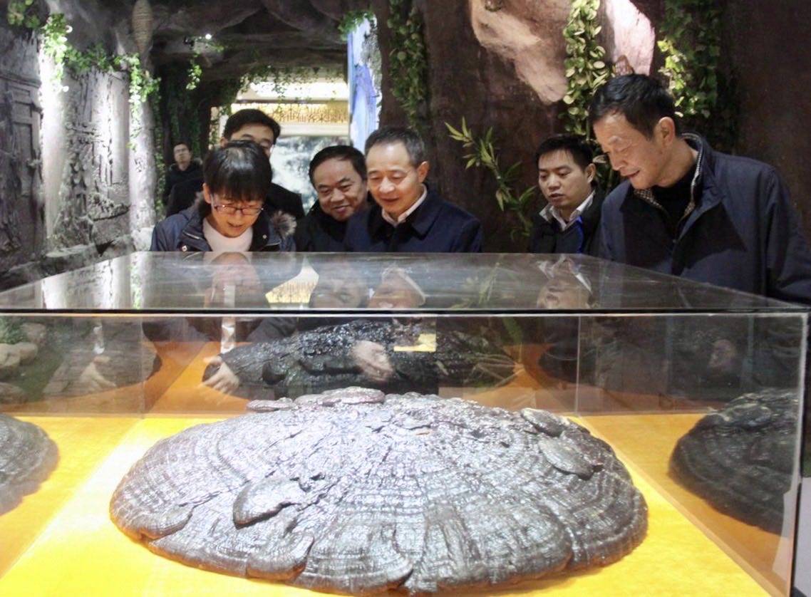 1577762921790600.jpg 726902FF2E0A086D6274171ADD5C1E70.jpg