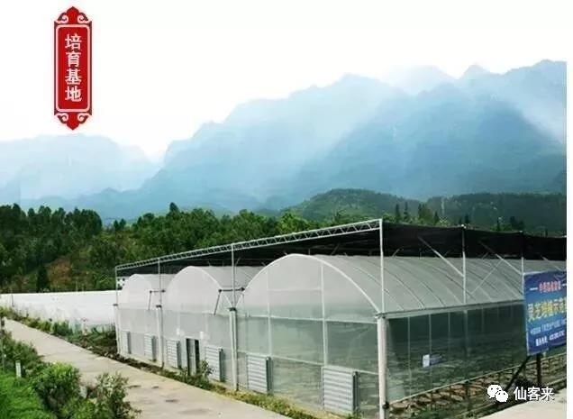 中國(guó)靈芝十大品牌|仙客來(lái)靈芝|仙客來(lái)靈芝破壁孢子粉|仙客來(lái)孢子油|仙客來(lái)靈芝飲片|仙客來(lái)破壁孢子粉|仙客來(lái)靈芝中藥飲片|馳名商標(biāo)|www.yuayua.cn| 中國(guó)靈芝十大品牌|仙客來(lái)靈芝|仙客來(lái)靈芝破壁孢子粉|仙客來(lái)孢子油|仙客來(lái)靈芝飲片|仙客來(lái)破壁孢子粉|仙客來(lái)靈芝中藥飲片|馳名商標(biāo)|www.yuayua.cn|