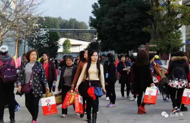 中國(guó)靈芝十大品牌|仙客來(lái)靈芝|仙客來(lái)靈芝破壁孢子粉|仙客來(lái)孢子油|仙客來(lái)靈芝飲片|仙客來(lái)破壁孢子粉|仙客來(lái)靈芝中藥飲片|馳名商標(biāo)|www.yuayua.cn| 中國(guó)靈芝十大品牌|仙客來(lái)靈芝|仙客來(lái)靈芝破壁孢子粉|仙客來(lái)孢子油|仙客來(lái)靈芝飲片|仙客來(lái)破壁孢子粉|仙客來(lái)靈芝中藥飲片|馳名商標(biāo)|www.yuayua.cn|