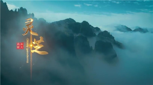 1582276782885312.jpg 4B7DF9CE11E3A510A1620585725AAD1C_看圖王.jpg