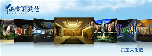 1582276816158585.jpg 1579372512215264.jpg