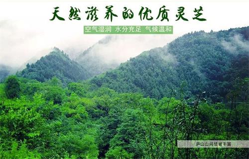 1587783223157124.jpg 5897B2FD29CD6B8BF461AE4F8EAFBF58_看圖王.jpg