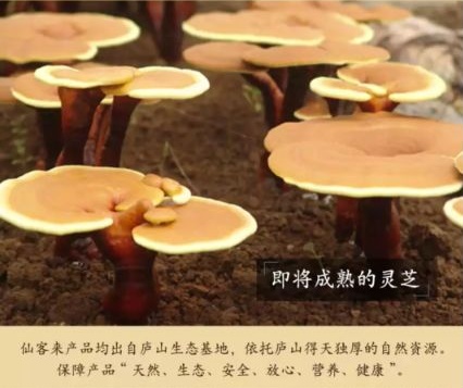 1589361500573171.jpg 9112B693A8EAA3EDA97A0394227AA5B5_看圖王.jpg