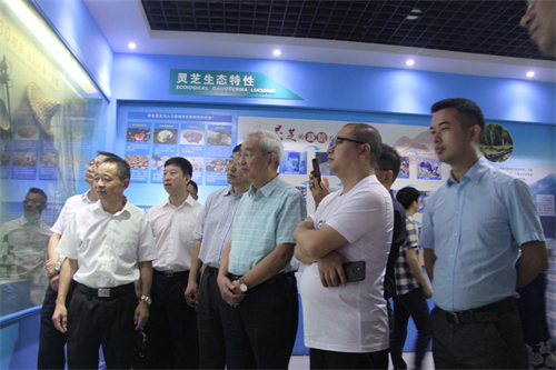 杭州亞運(yùn)會(huì)官方靈芝產(chǎn)品供應(yīng)商|杭州亞運(yùn)會(huì)官方供應(yīng)商|中國(guó)靈芝十大品牌|仙客來靈芝|仙客來靈芝破壁孢子粉|仙客來孢子油|仙客來靈芝飲片|仙客來破壁孢子粉|靈芝孢子油|孢子粉|靈芝破壁孢子粉|靈芝|中華老字號(hào) 杭州亞運(yùn)會(huì)官方靈芝產(chǎn)品供應(yīng)商|杭州亞運(yùn)會(huì)官方供應(yīng)商|中國(guó)靈芝十大品牌|仙客來靈芝|仙客來靈芝破壁孢子粉|仙客來孢子油|仙客來靈芝飲片|仙客來破壁孢子粉|靈芝孢子油|孢子粉|靈芝破壁孢子粉|靈芝|中華老字號(hào)