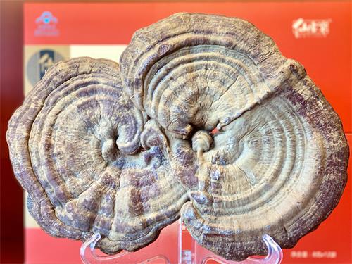 1592991569966531.jpeg IMG_3538.jpeg