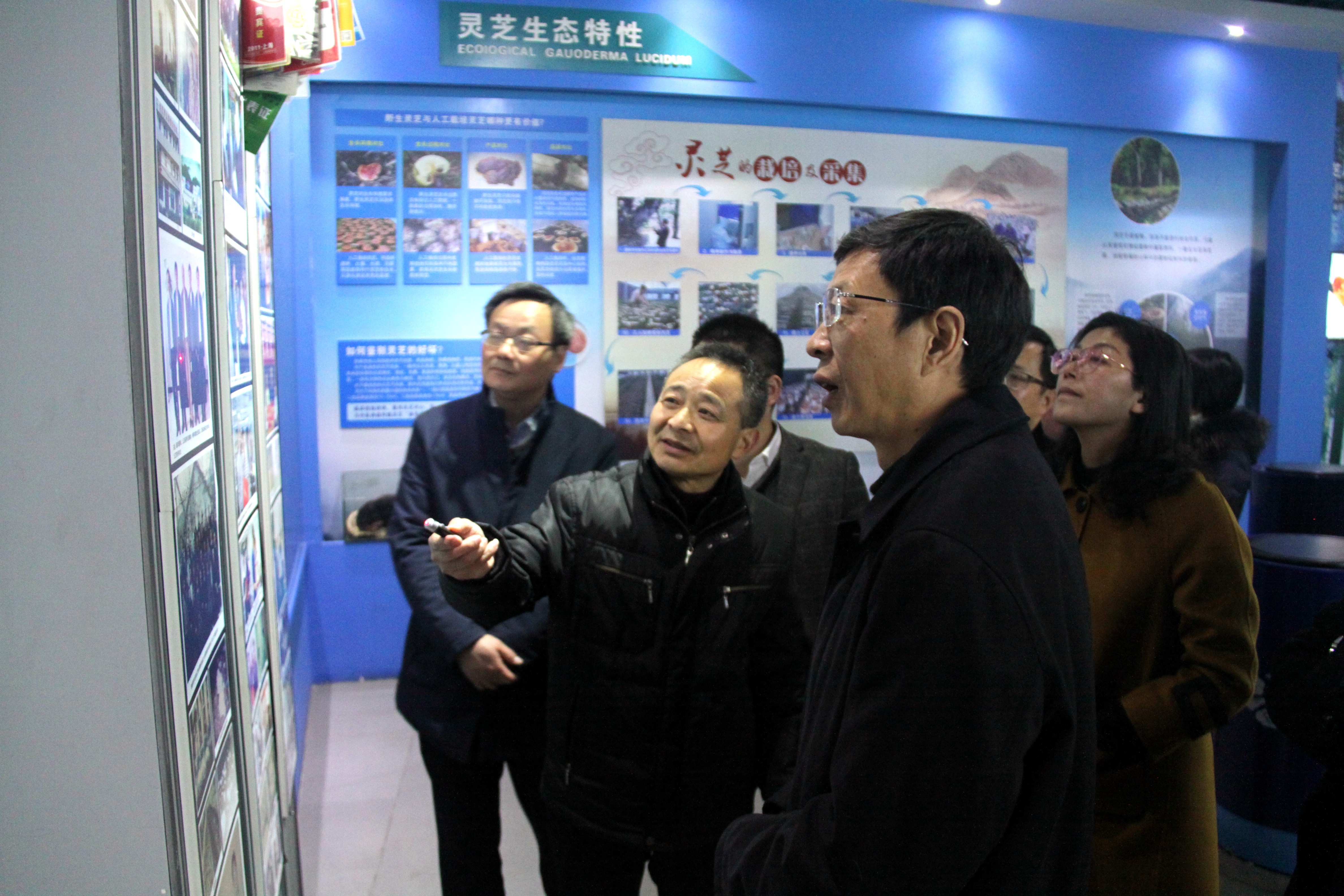 杭州亞運會官方靈芝產(chǎn)品供應(yīng)商|杭州亞運會官方供應(yīng)商|中國靈芝十大品牌|仙客來靈芝|仙客來靈芝破壁孢子粉|仙客來孢子油|仙客來靈芝飲片|仙客來破壁孢子粉|靈芝孢子油|孢子粉|靈芝破壁孢子粉|靈芝|中華老字號