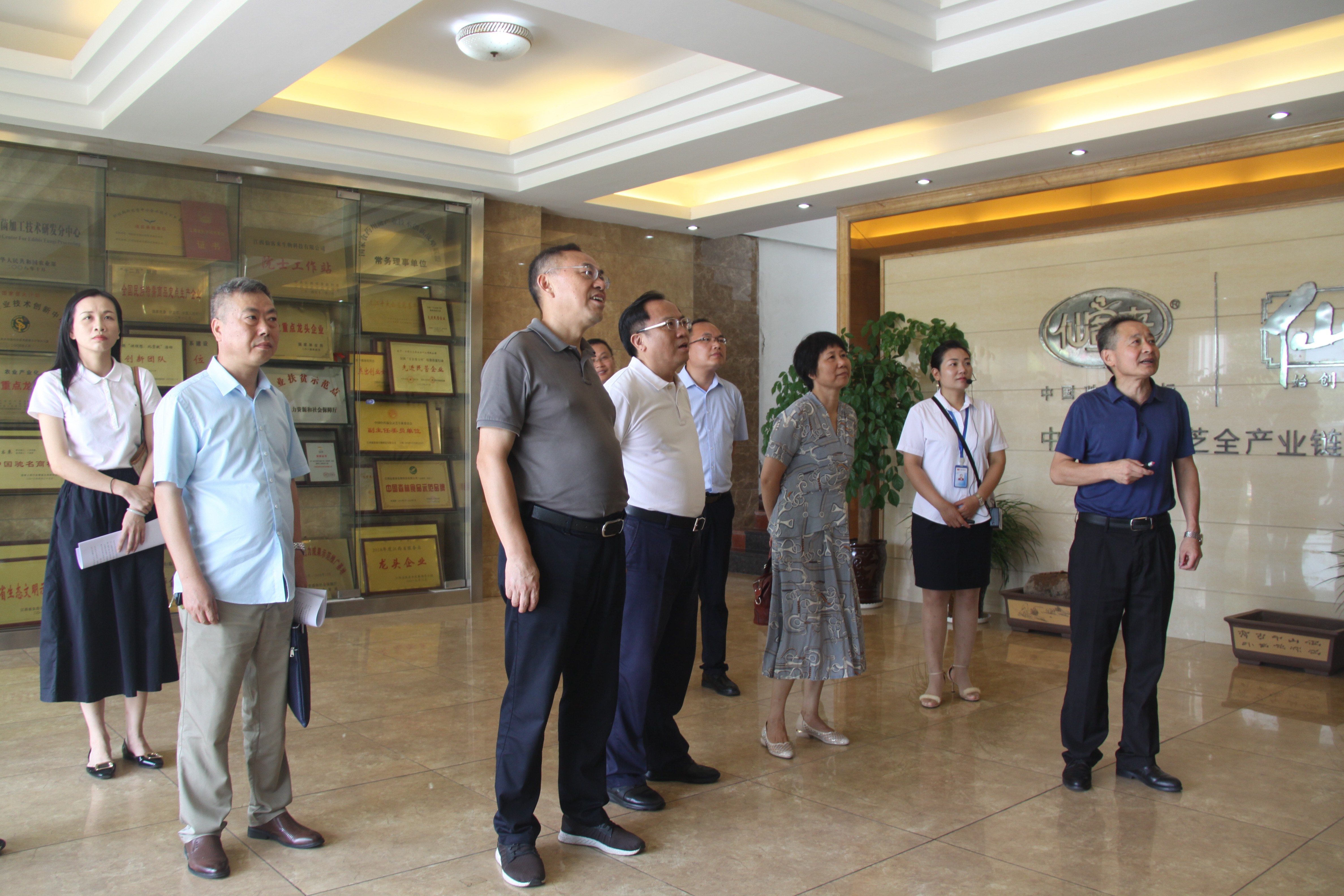 杭州亞運(yùn)會(huì)官方靈芝產(chǎn)品供應(yīng)商|杭州亞運(yùn)會(huì)官方供應(yīng)商|中國(guó)靈芝十大品牌|仙客來(lái)靈芝|仙客來(lái)靈芝破壁孢子粉|仙客來(lái)孢子油|仙客來(lái)靈芝飲片|仙客來(lái)破壁孢子粉|靈芝孢子油|孢子粉|靈芝破壁孢子粉|靈芝|中華老字號(hào) 杭州亞運(yùn)會(huì)官方靈芝產(chǎn)品供應(yīng)商|杭州亞運(yùn)會(huì)官方供應(yīng)商|中國(guó)靈芝十大品牌|仙客來(lái)靈芝|仙客來(lái)靈芝破壁孢子粉|仙客來(lái)孢子油|仙客來(lái)靈芝飲片|仙客來(lái)破壁孢子粉|靈芝孢子油|孢子粉|靈芝破壁孢子粉|靈芝|中華老字號(hào)