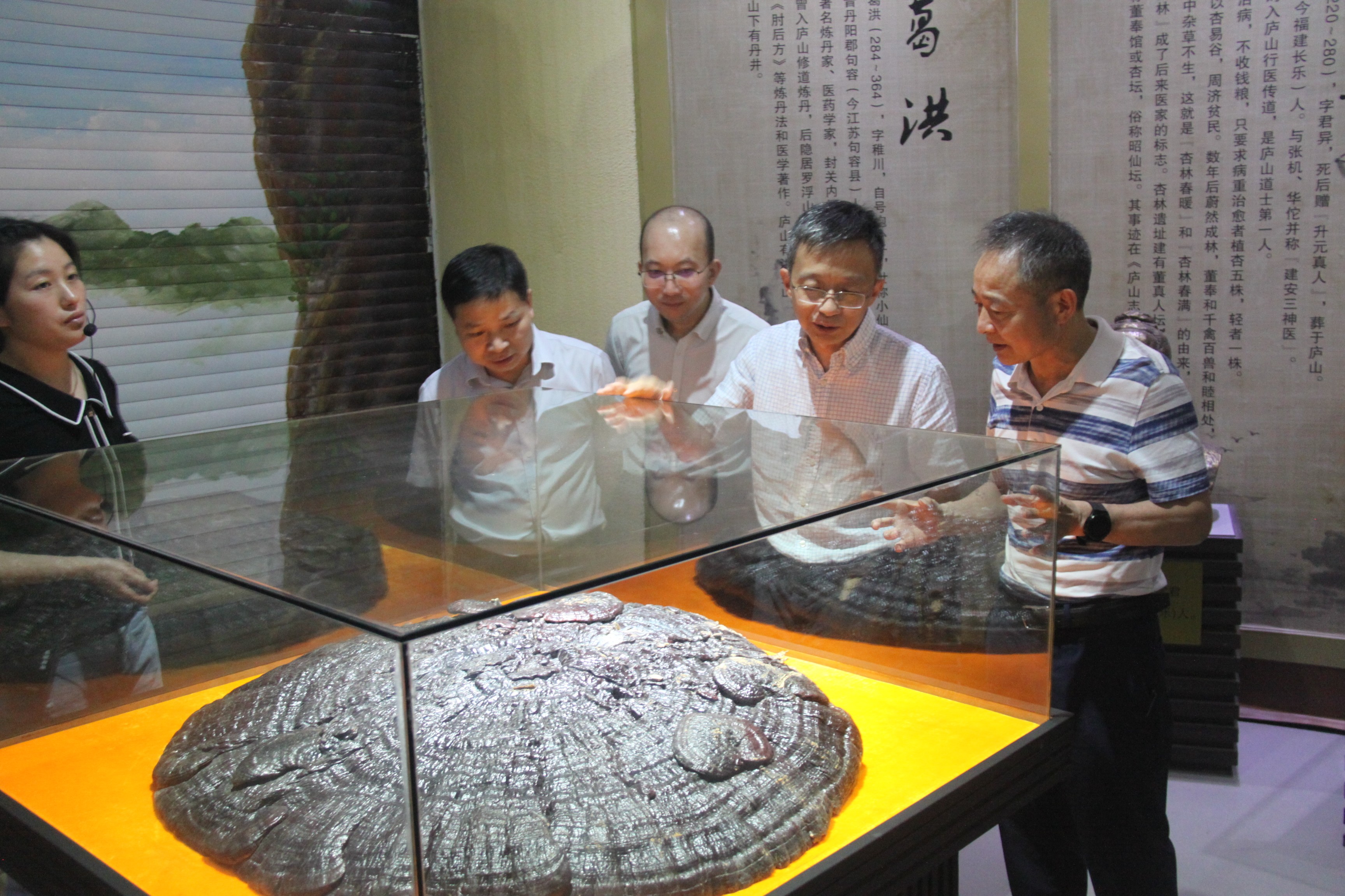 杭州亞運(yùn)會官方靈芝產(chǎn)品供應(yīng)商|杭州亞運(yùn)會官方供應(yīng)商|中國靈芝十大品牌|仙客來靈芝|仙客來靈芝破壁孢子粉|仙客來孢子油|仙客來靈芝飲片|仙客來破壁孢子粉|靈芝孢子油|孢子粉|靈芝破壁孢子粉|靈芝|中華老字號