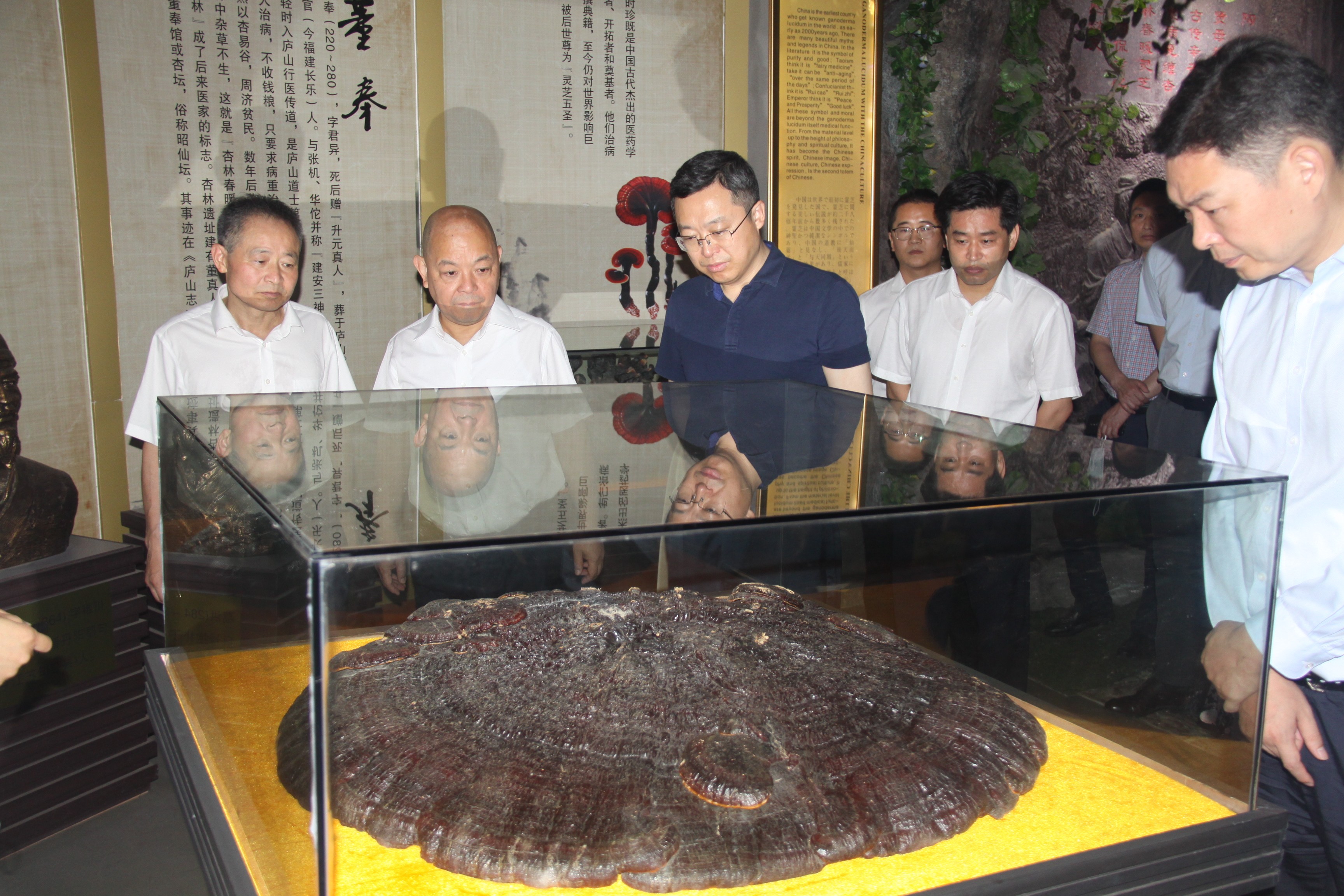 杭州亞運(yùn)會(huì)官方靈芝產(chǎn)品供應(yīng)商|杭州亞運(yùn)會(huì)官方供應(yīng)商|中國(guó)靈芝十大品牌|仙客來(lái)靈芝|仙客來(lái)靈芝破壁孢子粉|仙客來(lái)孢子油|仙客來(lái)靈芝飲片|仙客來(lái)破壁孢子粉|靈芝孢子油|孢子粉|靈芝破壁孢子粉|靈芝|中華老字號(hào) 杭州亞運(yùn)會(huì)官方靈芝產(chǎn)品供應(yīng)商|杭州亞運(yùn)會(huì)官方供應(yīng)商|中國(guó)靈芝十大品牌|仙客來(lái)靈芝|仙客來(lái)靈芝破壁孢子粉|仙客來(lái)孢子油|仙客來(lái)靈芝飲片|仙客來(lái)破壁孢子粉|靈芝孢子油|孢子粉|靈芝破壁孢子粉|靈芝|中華老字號(hào)