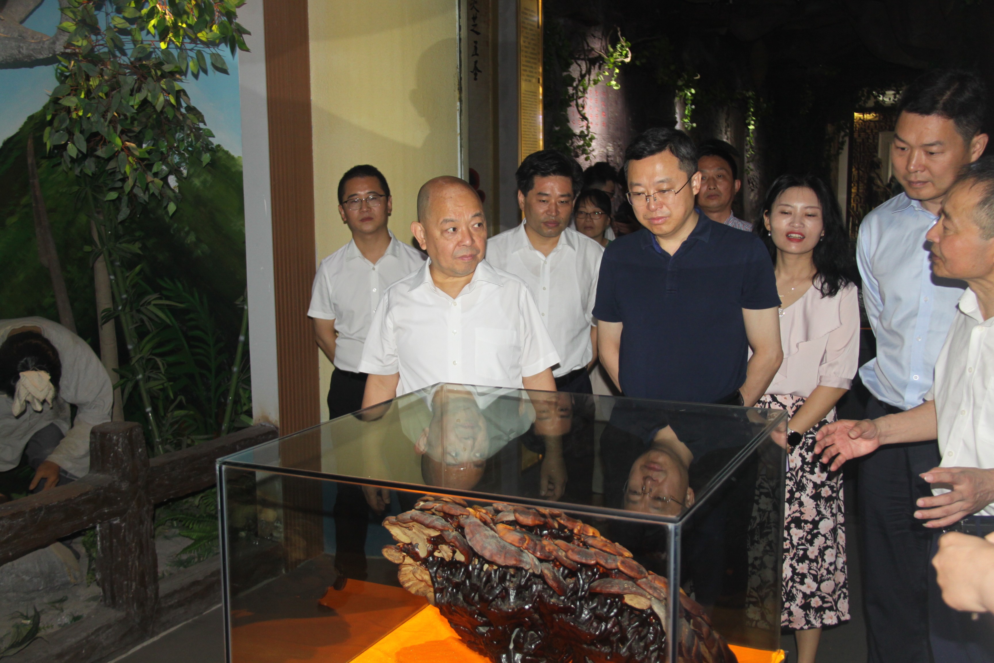 杭州亞運(yùn)會(huì)官方靈芝產(chǎn)品供應(yīng)商|杭州亞運(yùn)會(huì)官方供應(yīng)商|中國(guó)靈芝十大品牌|仙客來(lái)靈芝|仙客來(lái)靈芝破壁孢子粉|仙客來(lái)孢子油|仙客來(lái)靈芝飲片|仙客來(lái)破壁孢子粉|靈芝孢子油|孢子粉|靈芝破壁孢子粉|靈芝|中華老字號(hào) 杭州亞運(yùn)會(huì)官方靈芝產(chǎn)品供應(yīng)商|杭州亞運(yùn)會(huì)官方供應(yīng)商|中國(guó)靈芝十大品牌|仙客來(lái)靈芝|仙客來(lái)靈芝破壁孢子粉|仙客來(lái)孢子油|仙客來(lái)靈芝飲片|仙客來(lái)破壁孢子粉|靈芝孢子油|孢子粉|靈芝破壁孢子粉|靈芝|中華老字號(hào)