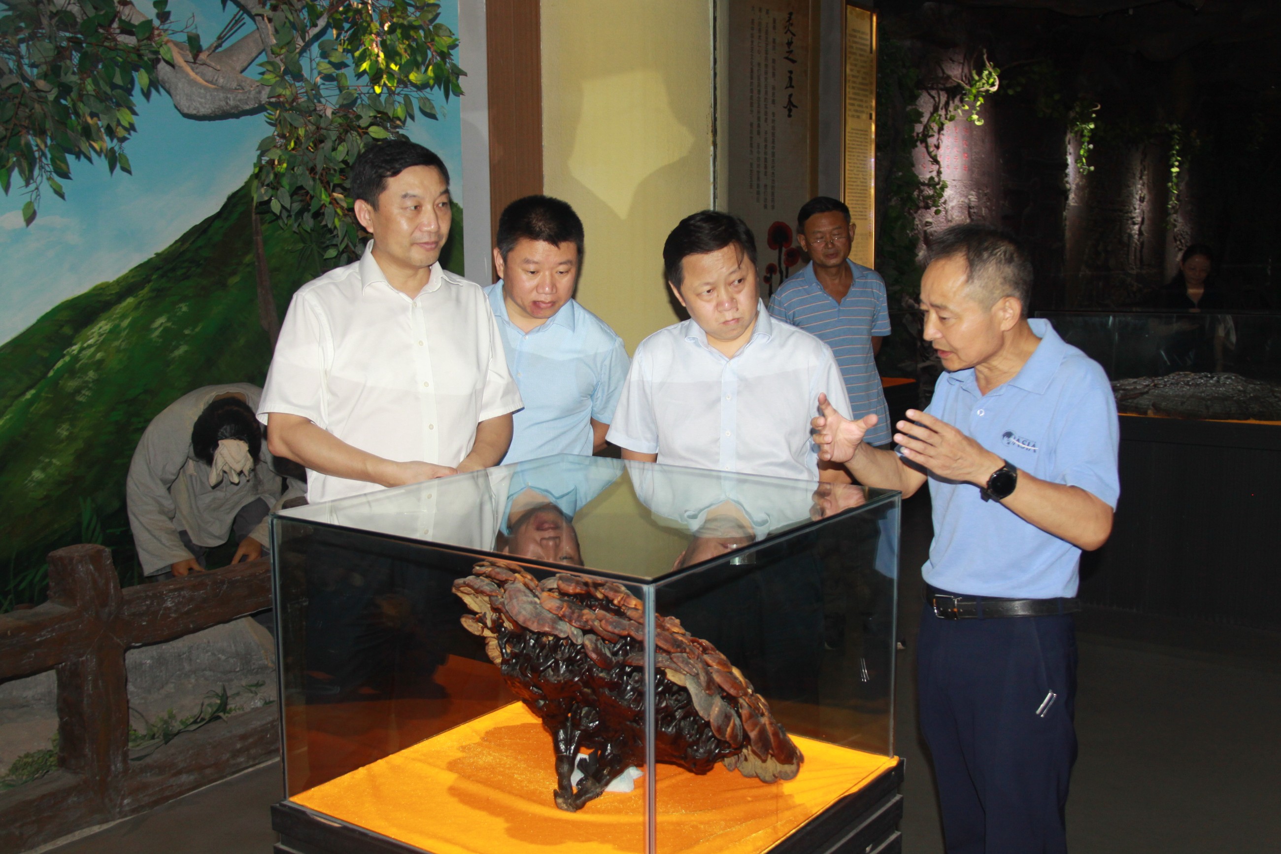 杭州亞運(yùn)會(huì)官方靈芝產(chǎn)品供應(yīng)商|杭州亞運(yùn)會(huì)官方供應(yīng)商|中國(guó)靈芝十大品牌|仙客來靈芝|仙客來靈芝破壁孢子粉|仙客來孢子油|仙客來靈芝飲片|仙客來破壁孢子粉|靈芝孢子油|孢子粉|靈芝破壁孢子粉|靈芝|中華老字號(hào)