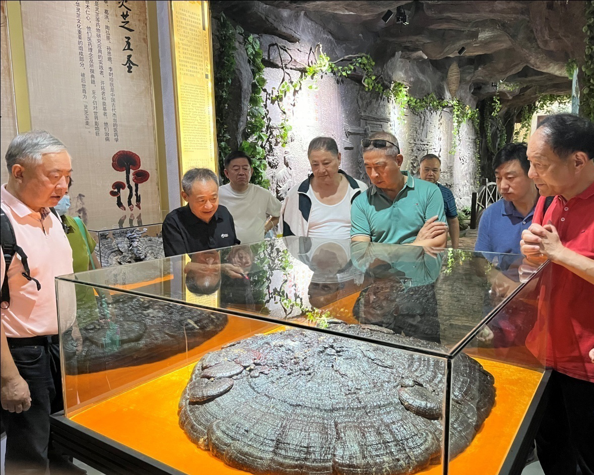 杭州亞運(yùn)會(huì)官方靈芝產(chǎn)品供應(yīng)商|杭州亞運(yùn)會(huì)官方供應(yīng)商|中國(guó)靈芝十大品牌|仙客來(lái)靈芝|仙客來(lái)靈芝破壁孢子粉|仙客來(lái)孢子油|仙客來(lái)靈芝飲片|仙客來(lái)破壁孢子粉|靈芝孢子油|孢子粉|靈芝破壁孢子粉|靈芝|中華老字號(hào)