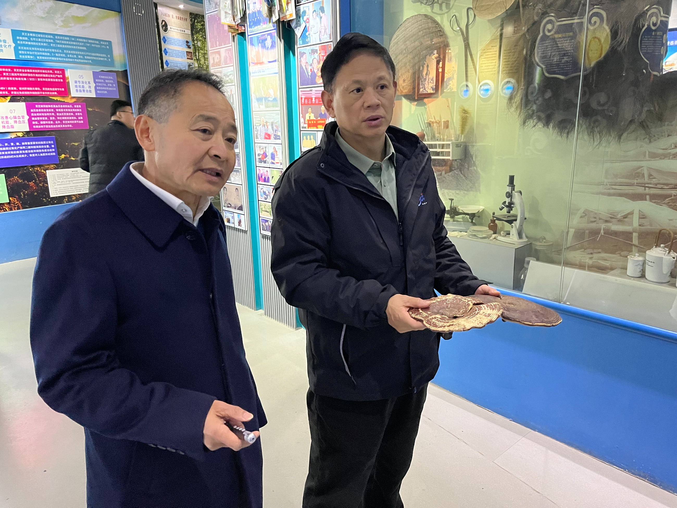 杭州亞運(yùn)會(huì)官方靈芝產(chǎn)品供應(yīng)商|杭州亞運(yùn)會(huì)官方供應(yīng)商|中國(guó)靈芝十大品牌|仙客來靈芝|仙客來靈芝破壁孢子粉|仙客來孢子油|仙客來靈芝飲片|仙客來破壁孢子粉|靈芝孢子油|孢子粉|靈芝破壁孢子粉|靈芝|中華老字號(hào)