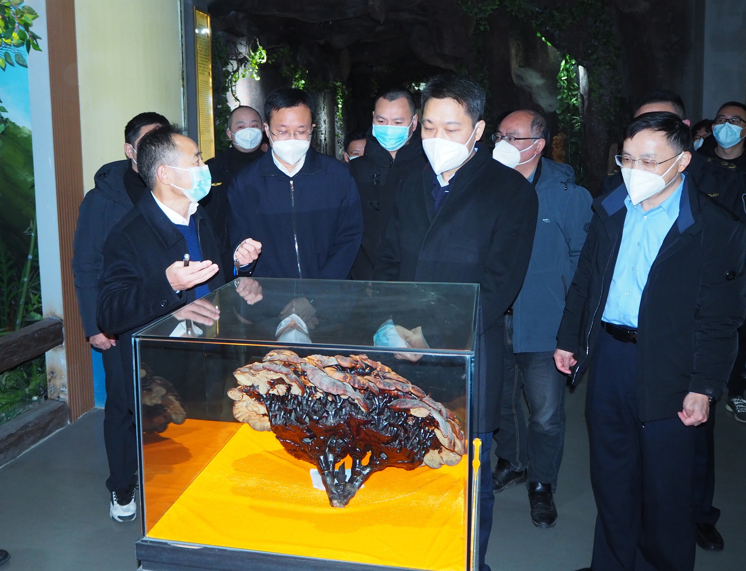 杭州亞運會官方靈芝產(chǎn)品供應(yīng)商|杭州亞運會官方供應(yīng)商|中國靈芝十大品牌|仙客來靈芝|仙客來靈芝破壁孢子粉|仙客來孢子油|仙客來靈芝飲片|仙客來破壁孢子粉|靈芝孢子油|孢子粉|靈芝破壁孢子粉|靈芝|中華老字號 杭州亞運會官方靈芝產(chǎn)品供應(yīng)商|杭州亞運會官方供應(yīng)商|中國靈芝十大品牌|仙客來靈芝|仙客來靈芝破壁孢子粉|仙客來孢子油|仙客來靈芝飲片|仙客來破壁孢子粉|靈芝孢子油|孢子粉|靈芝破壁孢子粉|靈芝|中華老字號