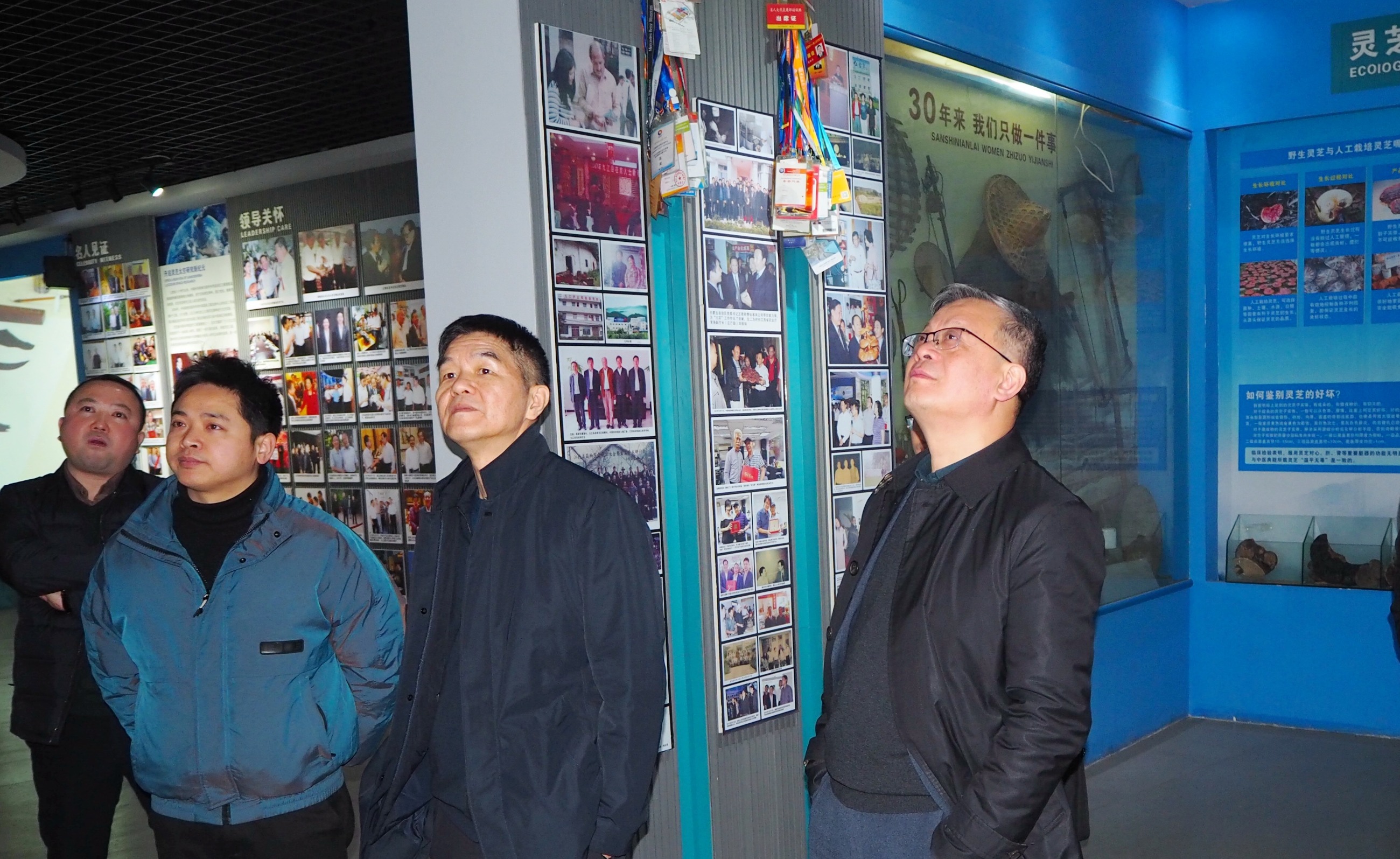 杭州亞運會官方靈芝產(chǎn)品供應商|杭州亞運會官方供應商|中國靈芝十大品牌|仙客來靈芝|仙客來靈芝破壁孢子粉|仙客來孢子油|仙客來靈芝飲片|仙客來破壁孢子粉|靈芝孢子油|孢子粉|靈芝破壁孢子粉|靈芝|中華老字號