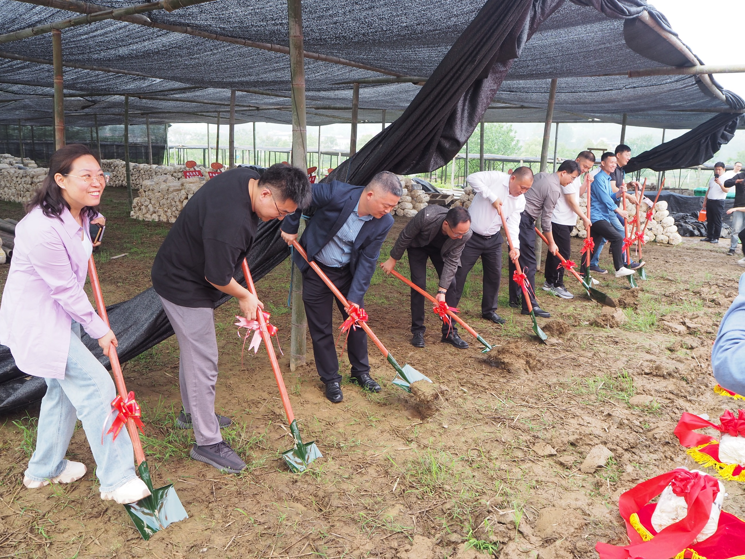 杭州亞運(yùn)會官方靈芝產(chǎn)品供應(yīng)商|杭州亞運(yùn)會官方供應(yīng)商|中國靈芝十大品牌|仙客來靈芝|仙客來靈芝破壁孢子粉|仙客來孢子油|仙客來靈芝飲片|仙客來破壁孢子粉|靈芝孢子油|孢子粉|靈芝破壁孢子粉|靈芝|中華老字號 杭州亞運(yùn)會官方靈芝產(chǎn)品供應(yīng)商|杭州亞運(yùn)會官方供應(yīng)商|中國靈芝十大品牌|仙客來靈芝|仙客來靈芝破壁孢子粉|仙客來孢子油|仙客來靈芝飲片|仙客來破壁孢子粉|靈芝孢子油|孢子粉|靈芝破壁孢子粉|靈芝|中華老字號