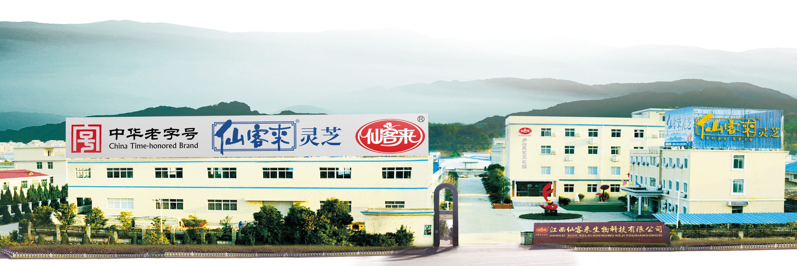 杭州亞運(yùn)會(huì)官方靈芝產(chǎn)品供應(yīng)商|杭州亞運(yùn)會(huì)官方供應(yīng)商|中國(guó)靈芝十大品牌|仙客來靈芝|仙客來靈芝破壁孢子粉|仙客來孢子油|仙客來靈芝飲片|仙客來破壁孢子粉|靈芝孢子油|孢子粉|靈芝破壁孢子粉|靈芝|中華老字號(hào) 杭州亞運(yùn)會(huì)官方靈芝產(chǎn)品供應(yīng)商|杭州亞運(yùn)會(huì)官方供應(yīng)商|中國(guó)靈芝十大品牌|仙客來靈芝|仙客來靈芝破壁孢子粉|仙客來孢子油|仙客來靈芝飲片|仙客來破壁孢子粉|靈芝孢子油|孢子粉|靈芝破壁孢子粉|靈芝|中華老字號(hào)