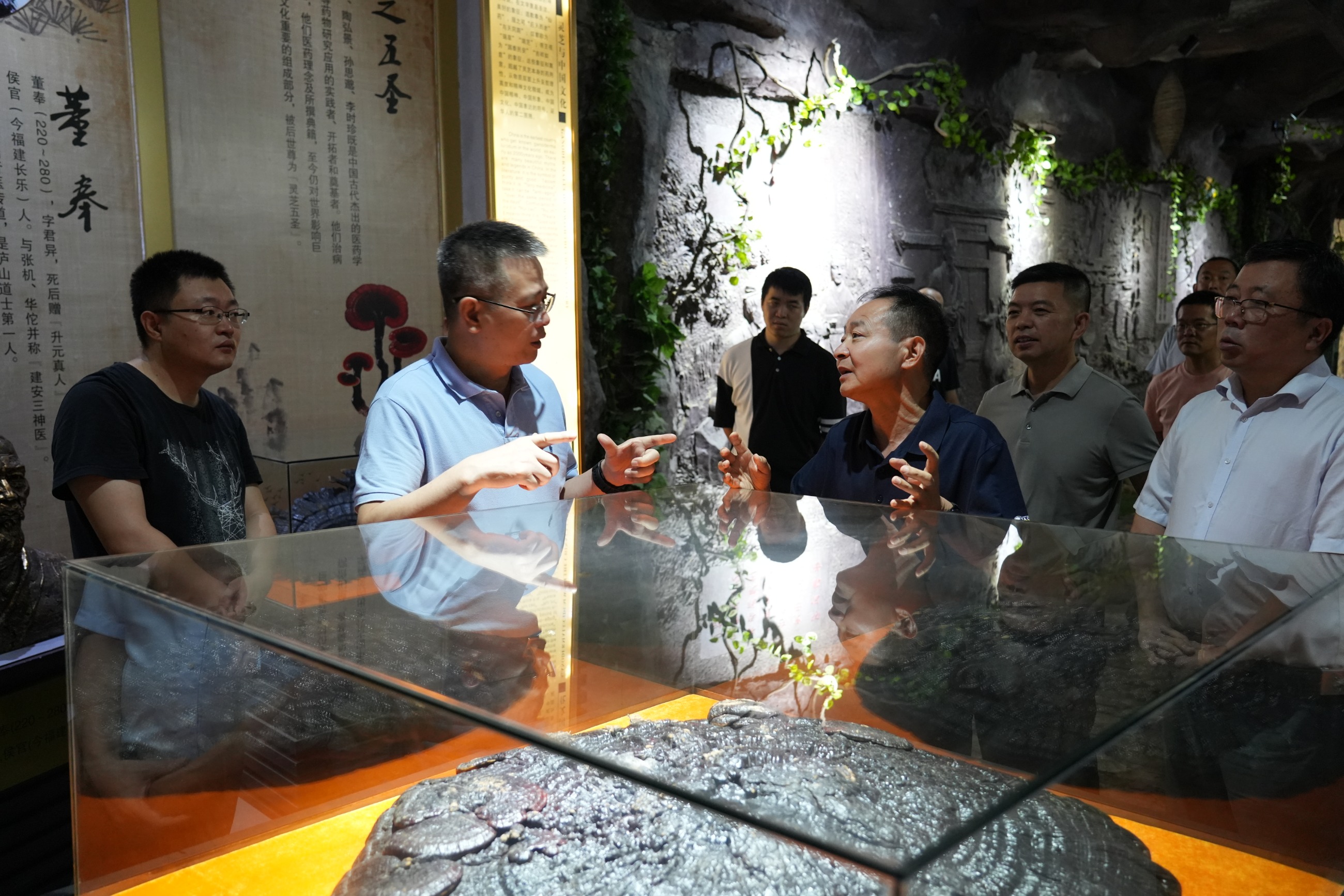 杭州亞運(yùn)會(huì)官方靈芝產(chǎn)品供應(yīng)商|杭州亞運(yùn)會(huì)官方供應(yīng)商|中國(guó)靈芝十大品牌|仙客來(lái)靈芝|仙客來(lái)靈芝破壁孢子粉|仙客來(lái)孢子油|仙客來(lái)靈芝飲片|仙客來(lái)破壁孢子粉|靈芝孢子油|孢子粉|靈芝破壁孢子粉|靈芝|中華老字號(hào) 杭州亞運(yùn)會(huì)官方靈芝產(chǎn)品供應(yīng)商|杭州亞運(yùn)會(huì)官方供應(yīng)商|中國(guó)靈芝十大品牌|仙客來(lái)靈芝|仙客來(lái)靈芝破壁孢子粉|仙客來(lái)孢子油|仙客來(lái)靈芝飲片|仙客來(lái)破壁孢子粉|靈芝孢子油|孢子粉|靈芝破壁孢子粉|靈芝|中華老字號(hào)