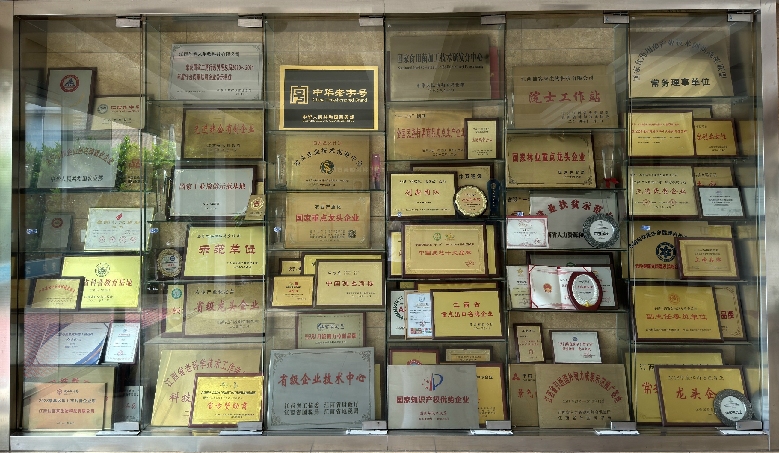 杭州亞運會官方靈芝產(chǎn)品供應商|杭州亞運會官方供應商|中國靈芝十大品牌|仙客來靈芝|仙客來靈芝破壁孢子粉|仙客來孢子油|仙客來靈芝飲片|仙客來破壁孢子粉|靈芝孢子油|孢子粉|靈芝破壁孢子粉|靈芝|中華老字號 杭州亞運會官方靈芝產(chǎn)品供應商|杭州亞運會官方供應商|中國靈芝十大品牌|仙客來靈芝|仙客來靈芝破壁孢子粉|仙客來孢子油|仙客來靈芝飲片|仙客來破壁孢子粉|靈芝孢子油|孢子粉|靈芝破壁孢子粉|靈芝|中華老字號