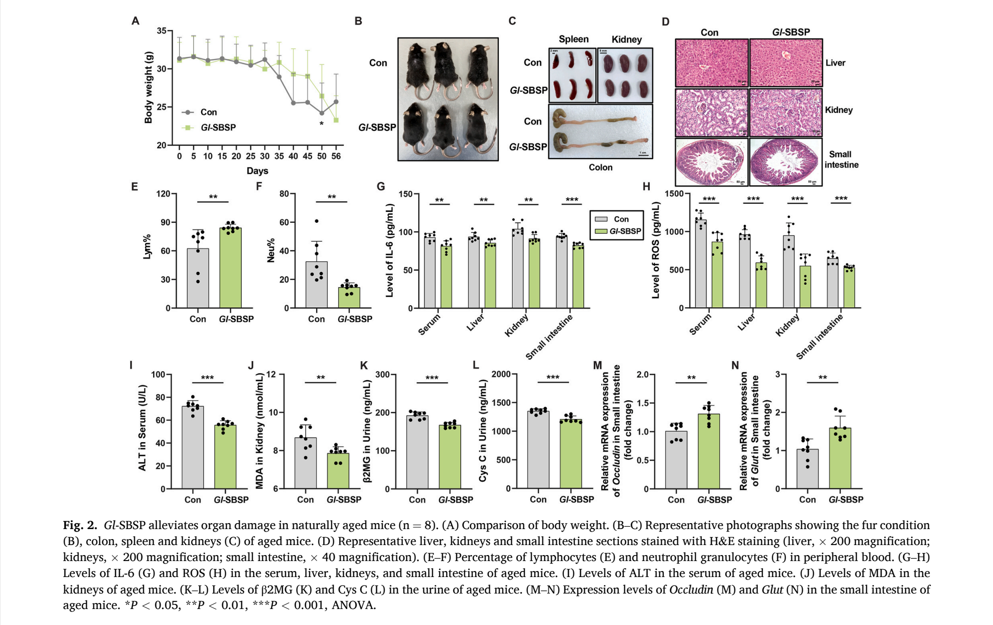 杭州亞運會官方靈芝產(chǎn)品供應商|杭州亞運會官方供應商|中國靈芝十大品牌|仙客來靈芝|仙客來靈芝破壁孢子粉|仙客來孢子油|仙客來靈芝飲片|仙客來破壁孢子粉|靈芝孢子油|孢子粉|靈芝破壁孢子粉|靈芝|中華老字號