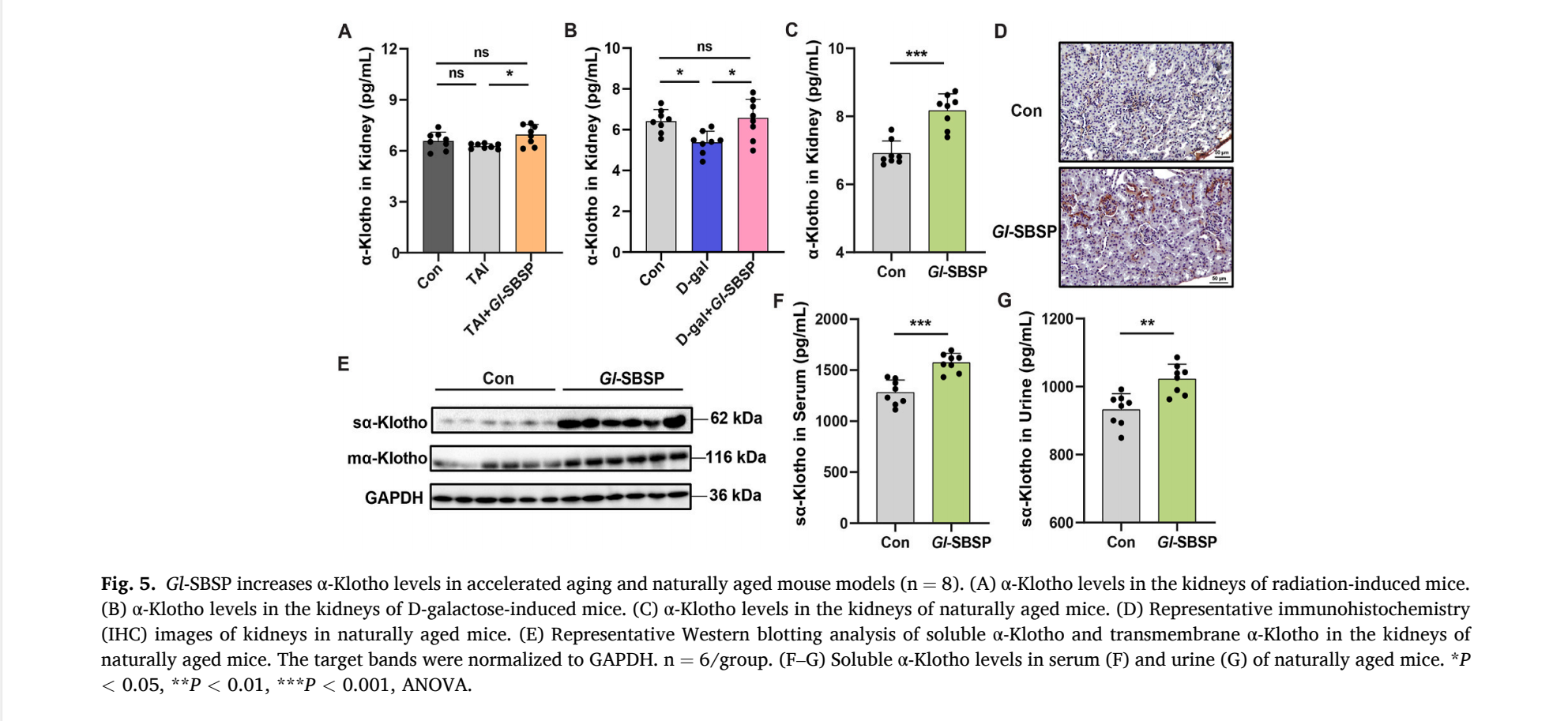 杭州亞運會官方靈芝產(chǎn)品供應商|杭州亞運會官方供應商|中國靈芝十大品牌|仙客來靈芝|仙客來靈芝破壁孢子粉|仙客來孢子油|仙客來靈芝飲片|仙客來破壁孢子粉|靈芝孢子油|孢子粉|靈芝破壁孢子粉|靈芝|中華老字號