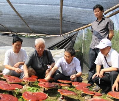 仙客來產(chǎn)業(yè)園景區(qū)獲批三產(chǎn)融合旅游國家級3A景區(qū)
