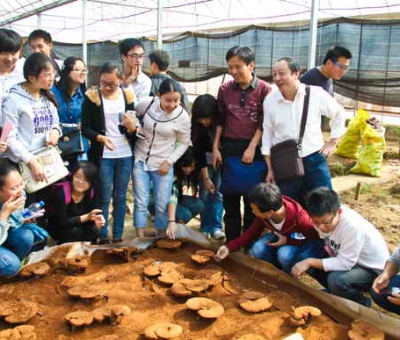 九江學(xué)院師生在仙客來公司舉行實踐活動