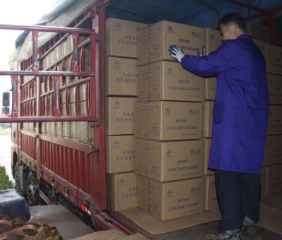 【4天加班15次缺貨】只為人皆有“芝”！