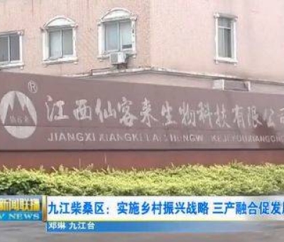 中國人只需要“別具”，缺失了“匠心”！