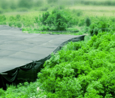 感謝廬山吧，這會是一場“仙旅情緣”