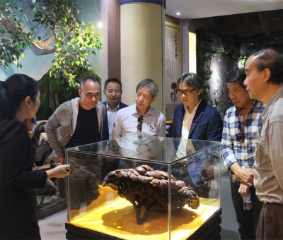 健康“良方”在這！全國政協(xié)委員、世界著名大學香港大學 榮譽院士孫少文博士蒞臨仙客來公司參觀考察