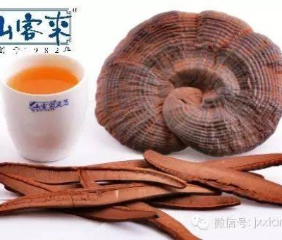 熱潮不斷！仙客來有機靈芝被點贊刷屏