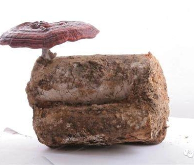 小滿時節(jié)脾胃失調(diào)，如何養(yǎng)生才健康？