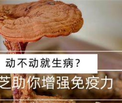 冬病夏治-如何調(diào)養(yǎng)身體？