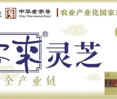 贊助商-仙客來(lái)靈芝，為健康加油